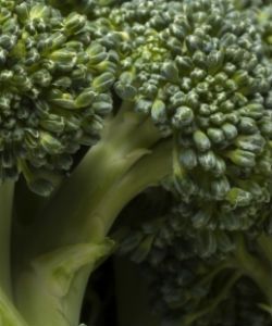 Broccoli Benefits And Uses For Hair Skin And Health  Styles At Life